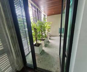 Modern patio with plants and wooden ceiling