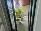 Modern patio with plants and wooden ceiling