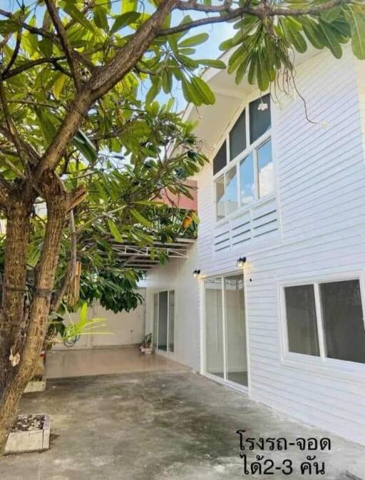 Exterior view of house with driveway