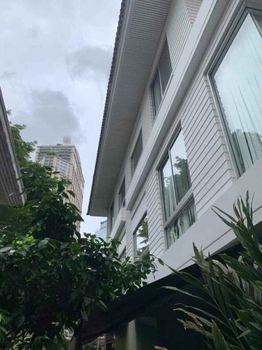 Exterior view of a building with large windows and plants