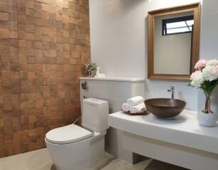 Modern bathroom with wooden accent wall