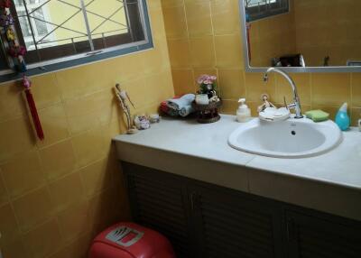 Bathroom with sink, mirror, and pet litter box