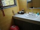 Bathroom with sink, mirror, and pet litter box