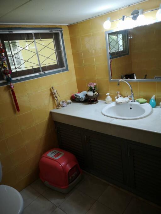 Bathroom with sink, mirror, and pet litter box