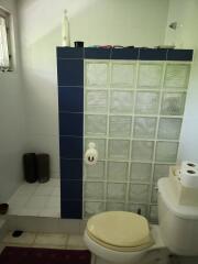 Bathroom with glass block shower partition