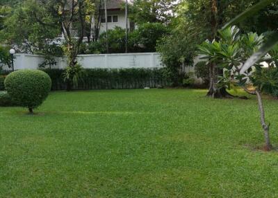 Spacious green garden with trees and neatly trimmed bushes