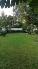 Spacious green garden with trees and neatly trimmed bushes