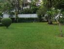 Spacious green garden with trees and neatly trimmed bushes