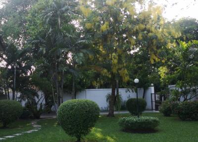 Well-maintained garden with lush greenery and a variety of trees and plants