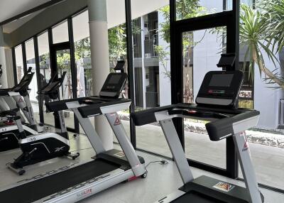 Modern gym facility with treadmills and large windows