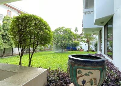 Outdoor garden with a decorative planter