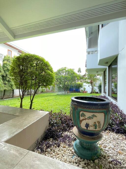 Outdoor garden with a decorative planter