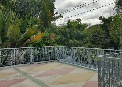 Rooftop terrace with ornate metal railing and lush green vegetation