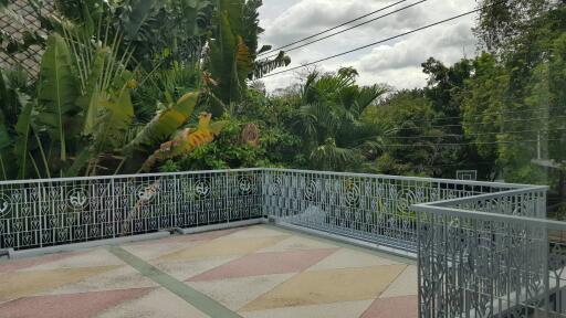 Rooftop terrace with ornate metal railing and lush green vegetation