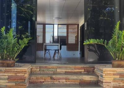 Front entrance with potted plants