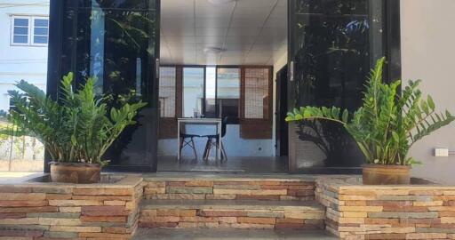 Front entrance with potted plants