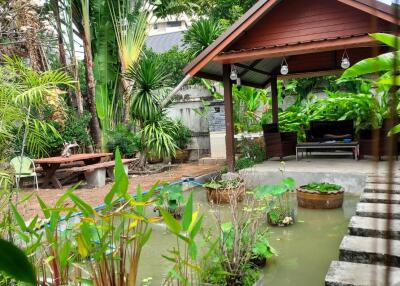 Beautiful garden with plants and a small pond