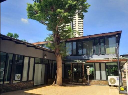 Exterior view of modern building with large tree and windows