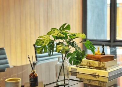 Modern office desk with plant and books