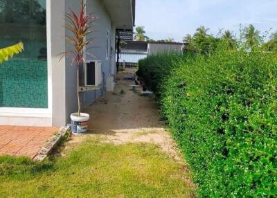 Side garden view with greenery