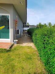 Side garden view with greenery