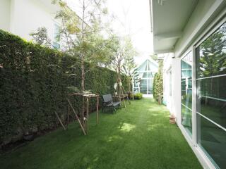 Side garden with lawn, trees, patio chairs, and a sunlit environment