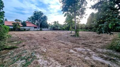 Choose Your Perfect Plot in Naam Phrae, Chiang Mai