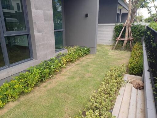 For Rent Samut Prakan Town House The City Bangna Bang Phli Yai Bang Phli