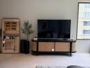 Modern living room with television, mirror, potted plant, and coffee table