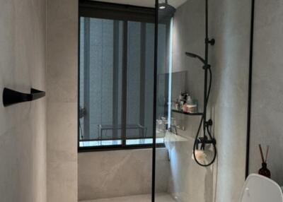 Modern bathroom with shower and toilet