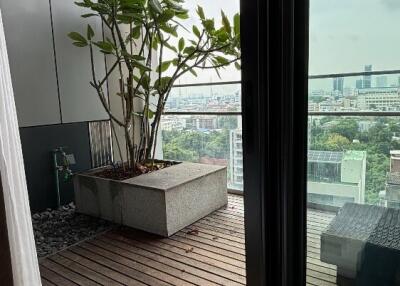 Balcony with potted plant overlooking city views