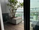 Balcony with potted plant overlooking city views