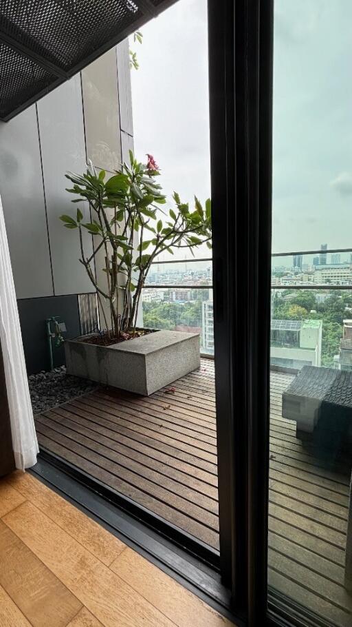 Balcony with potted plant overlooking city views