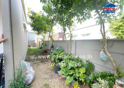 Cozy backyard garden with trees and plants