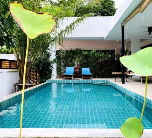 Modern outdoor pool area with surrounding greenery and lounge chairs