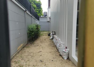 Narrow outdoor passage with plants and windows