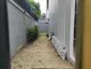 Narrow outdoor passage with plants and windows