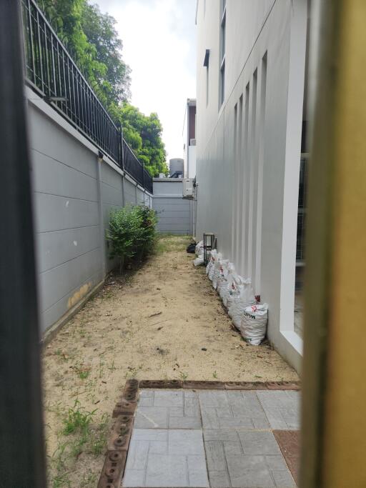 Narrow outdoor passage with plants and windows