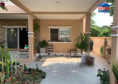 Patio and entrance area with various plants