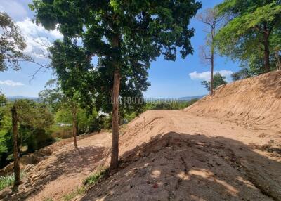 CHA21784: SeaView Plots in Chalong