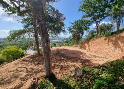 CHA21784: SeaView Plots in Chalong