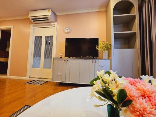 Living room with TV, air conditioner, flowers, and bookshelves