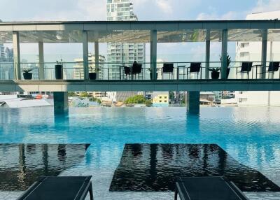 Rooftop pool with city view