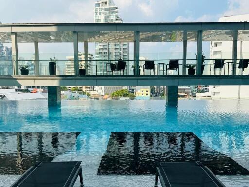 Rooftop pool with city view