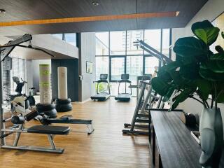 Modern fitness center with various exercise equipment and large windows