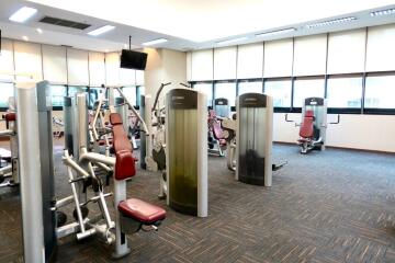 Modern gym with various exercise equipment