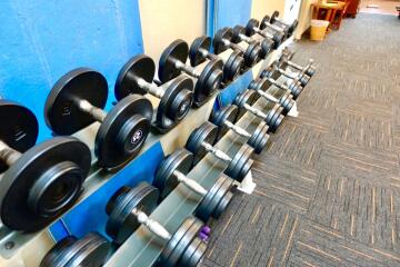 Gym with dumbbells on racks