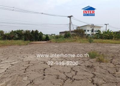 Plot of land with cracked soil and vegetation