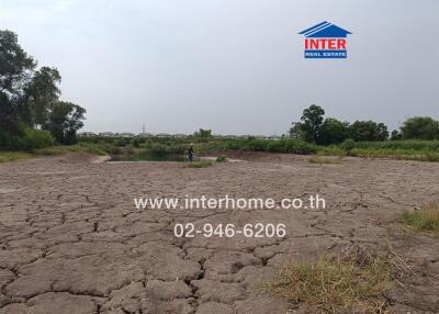 Dry land with some vegetation and a small pond