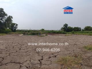 Dry land with some vegetation and a small pond